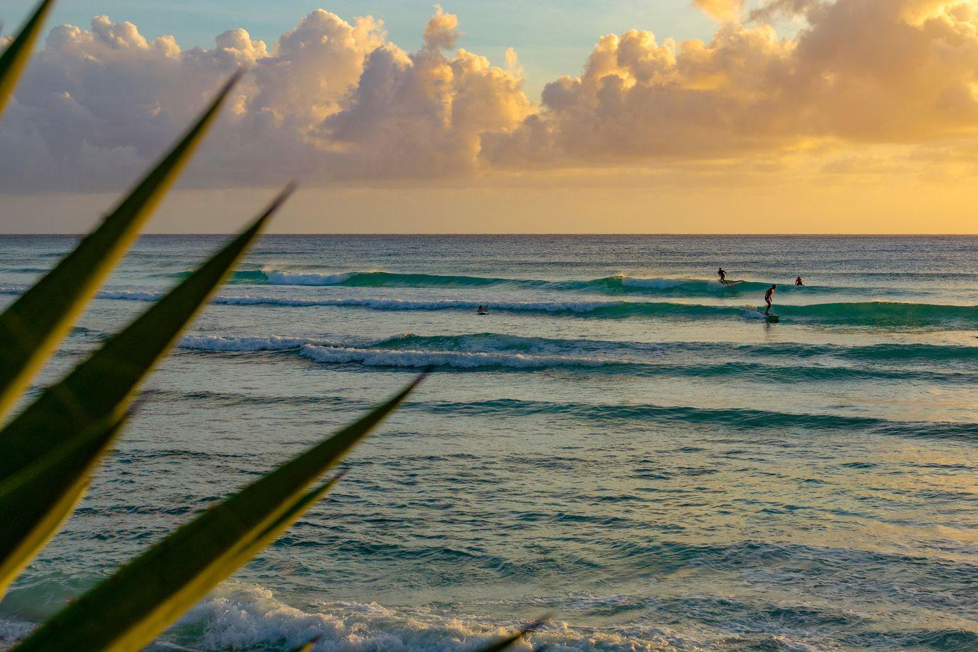 Expert Recommendations for Surfing in Caribbeans Azure Waters