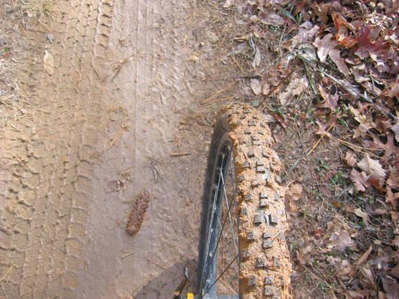 Understanding Trail Conditions to Avoid Surprises